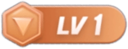 等级-LV1-诚安付-公司简介